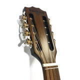 The Dannan Celtic Electro Traditional Irish Bouzouki with Pick Up